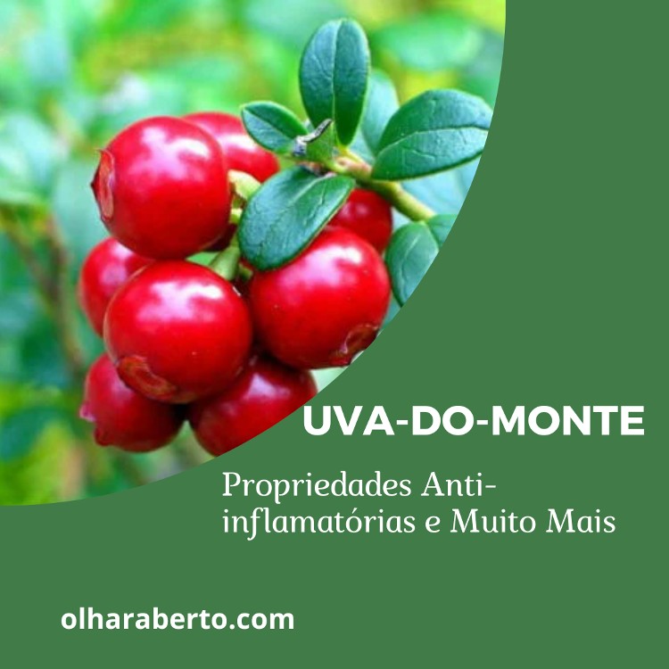 You are currently viewing Uva-do-Monte: Propriedades Anti-inflamatórias e Muito Mais