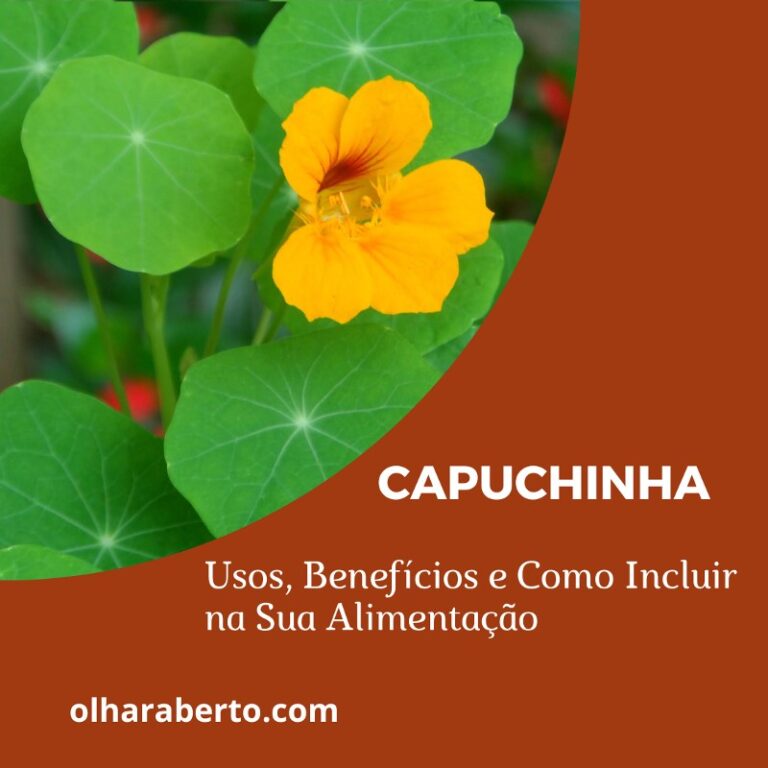 Read more about the article Capuchinha: Usos, Benefícios e Como Incluir na Sua Alimentação