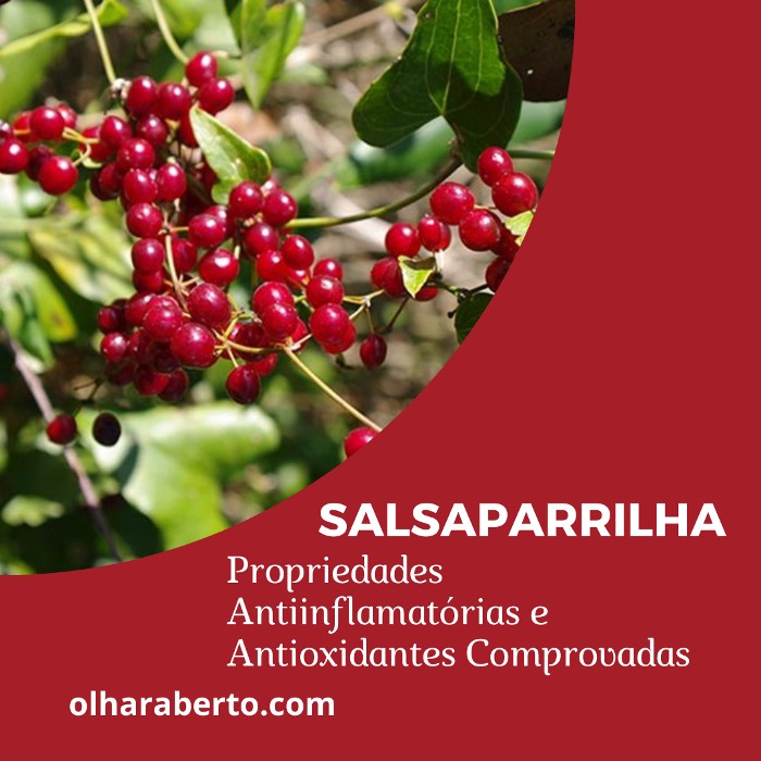 You are currently viewing Salsaparrilha: Propriedades Antiinflamatórias e Antioxidantes Comprovadas