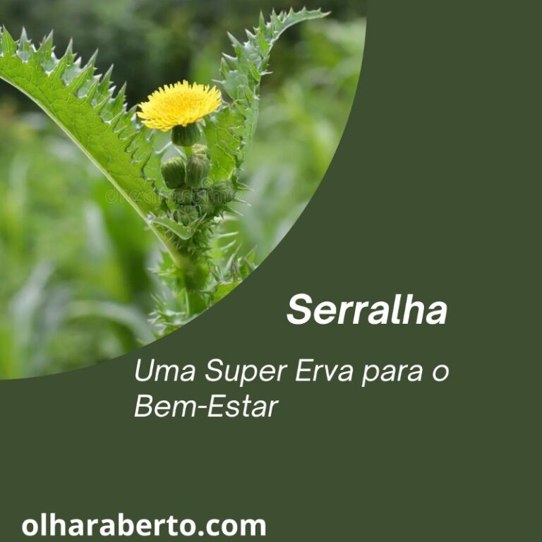 Read more about the article Serralha: Uma Super Erva para o Bem-Estar