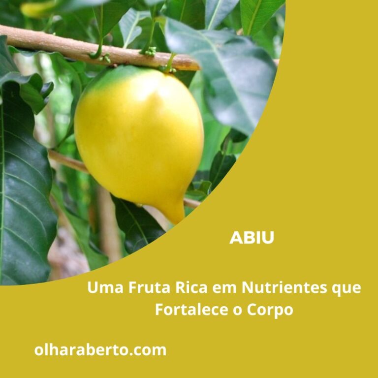 Read more about the article Abiu: Uma Fruta Rica em Nutrientes que Fortalece o Corpo