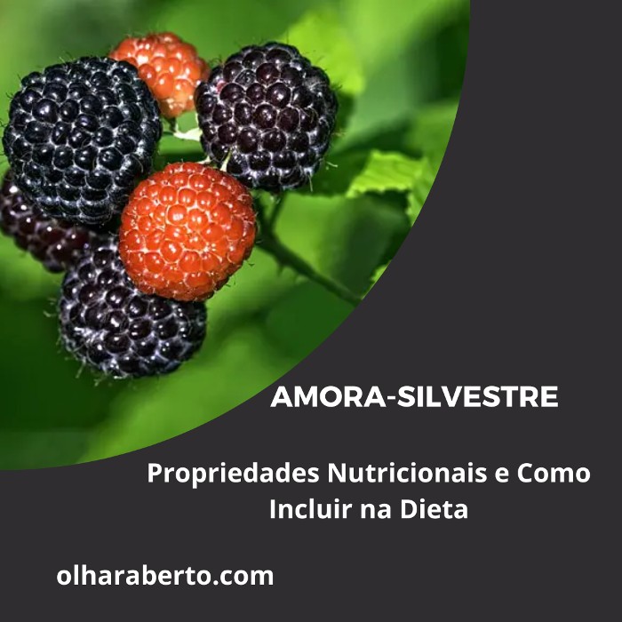 You are currently viewing Amora-silvestre: Propriedades Nutricionais e Como Incluir na Dieta