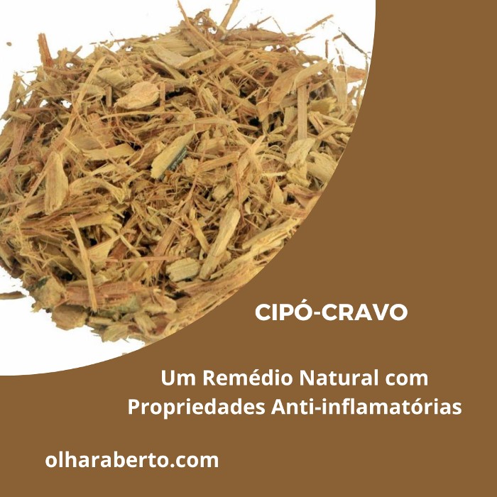 You are currently viewing Cipó-cravo: Um Remédio Natural com Propriedades Anti-inflamatórias