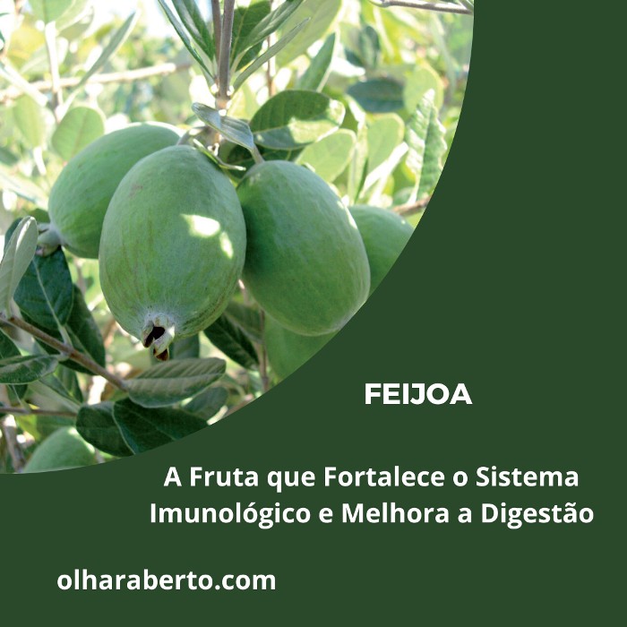 You are currently viewing Feijoa: A Fruta que Fortalece o Sistema Imunológico e Melhora a Digestão