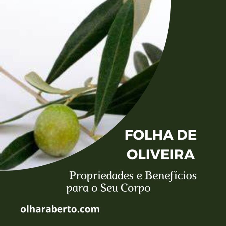 Read more about the article Folha de Oliveira: Propriedades e Benefícios para o Seu Corpo