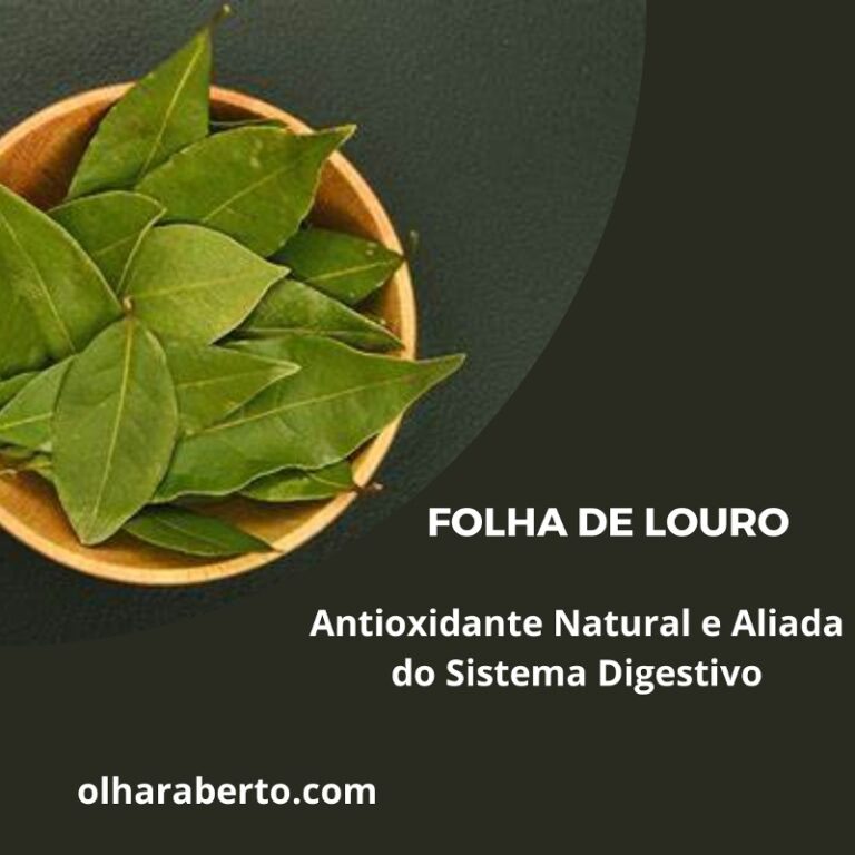 Read more about the article Folha de Louro: Antioxidante Natural e Aliada do Sistema Digestivo