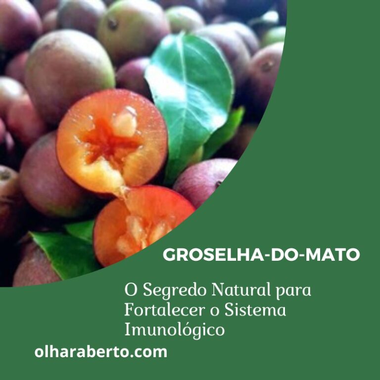 Read more about the article Groselha-do-mato: O Segredo Natural para Fortalecer o Sistema Imunológico