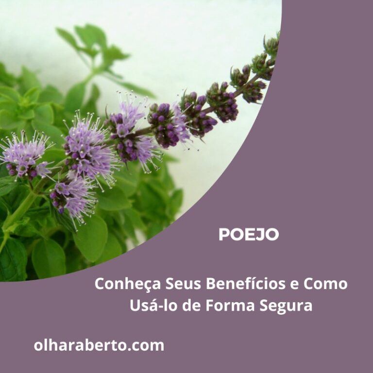 Read more about the article Poejo: Conheça Seus Benefícios e Como Usá-lo de Forma Segura