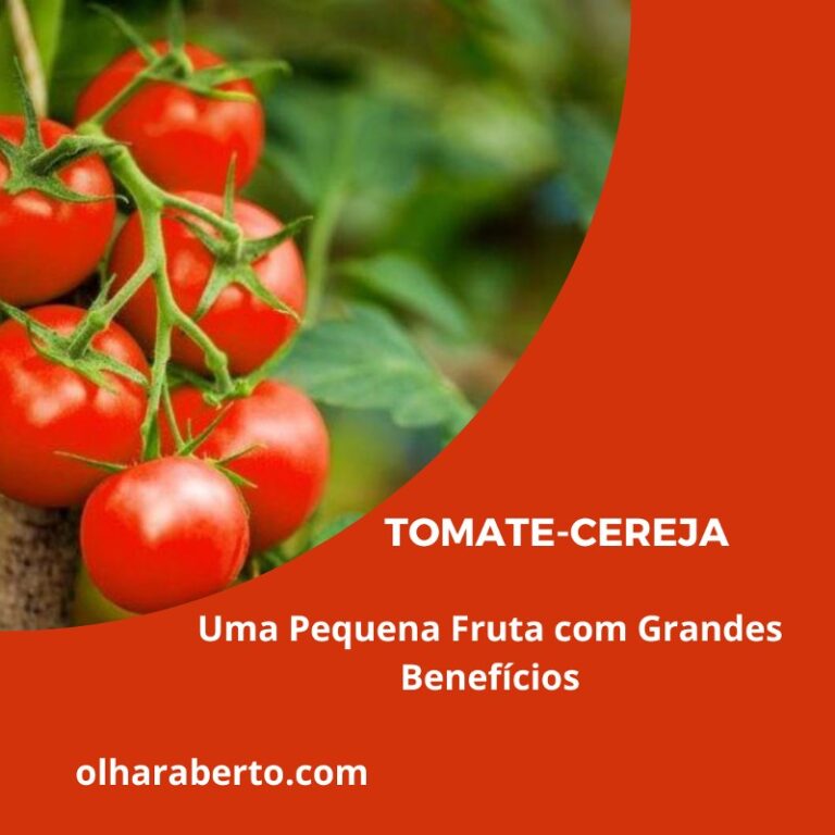 Read more about the article Tomate-cereja: Uma Pequena Fruta com Grandes Benefícios