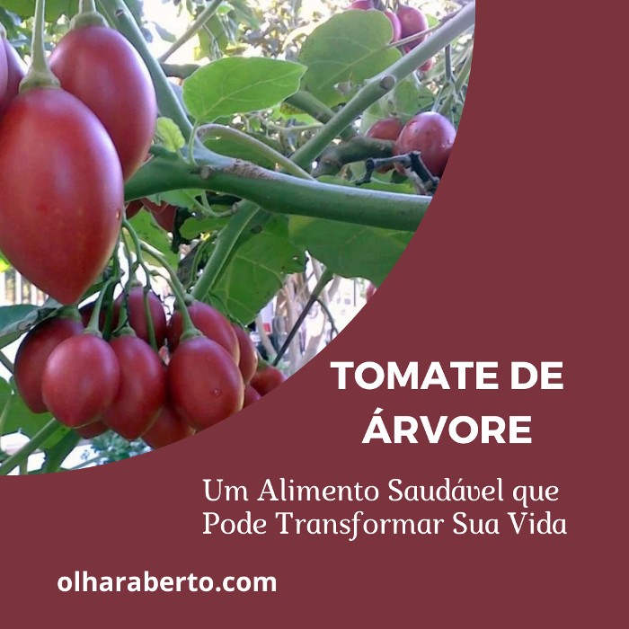 You are currently viewing Tomate de Árvore: Um Alimento Saudável que Pode Transformar Sua Vida