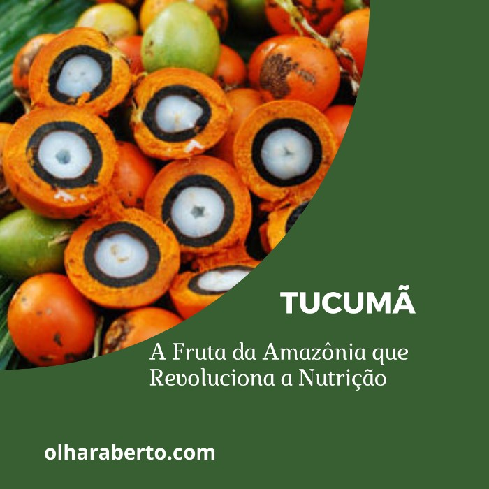 You are currently viewing Tucumã: A Fruta da Amazônia que Revoluciona a Nutrição