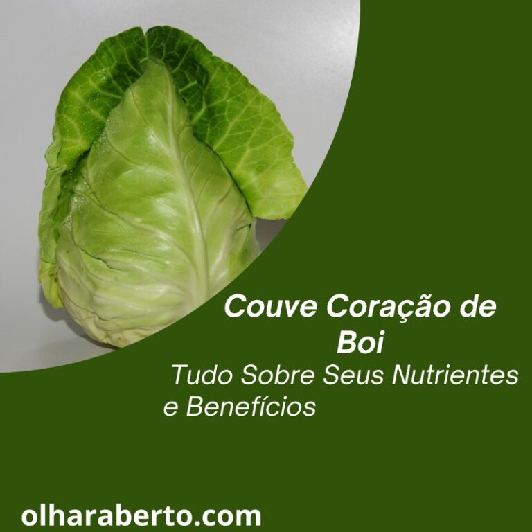 Read more about the article Couve Coração de Boi: Tudo Sobre Seus Nutrientes e Benefícios