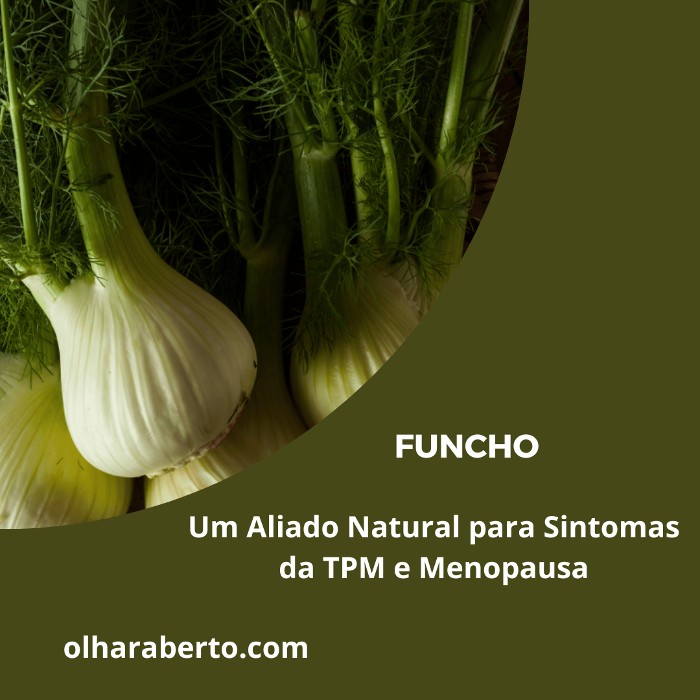 Read more about the article Funcho: Um Aliado Natural para Sintomas da TPM e Menopausa