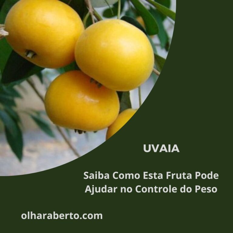 Read more about the article Uvaia: Saiba Como Esta Fruta Pode Ajudar no Controle do Peso