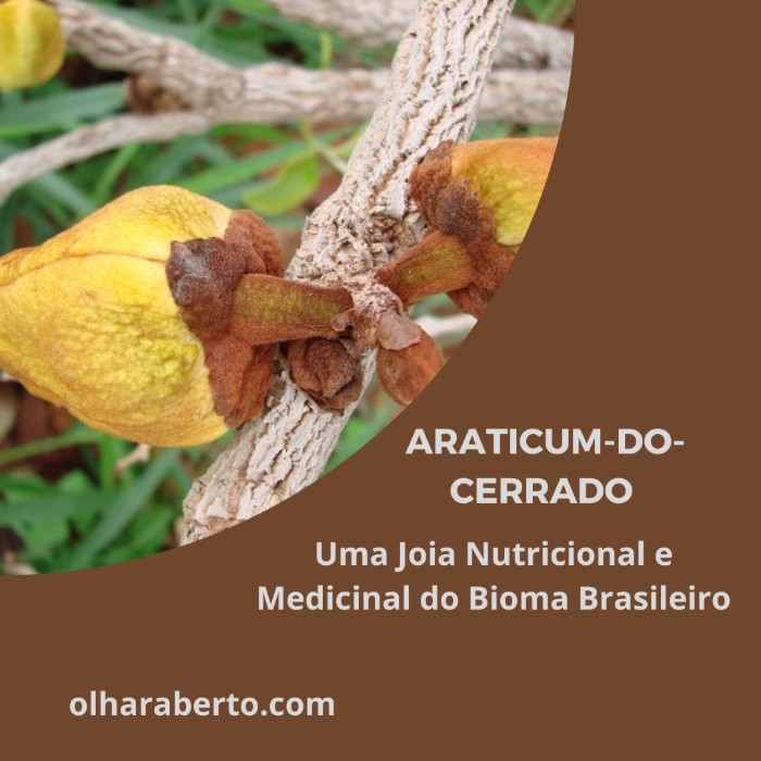 Read more about the article Araticum-do-Cerrado: Uma Joia Nutricional e Medicinal do Bioma Brasileiro