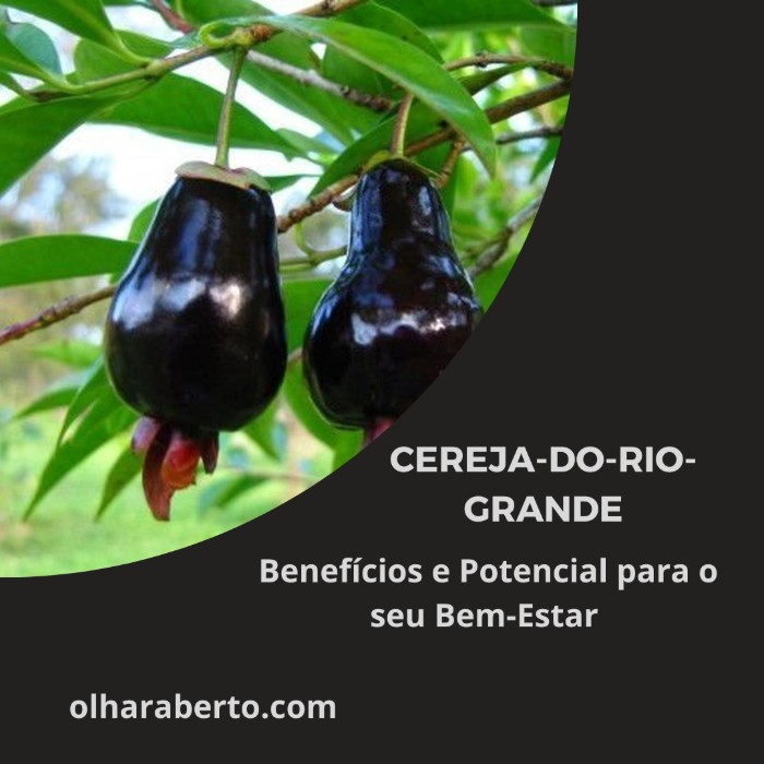 Read more about the article Cereja-do-Rio-Grande: Benefícios e Potencial para o seu Bem-Estar