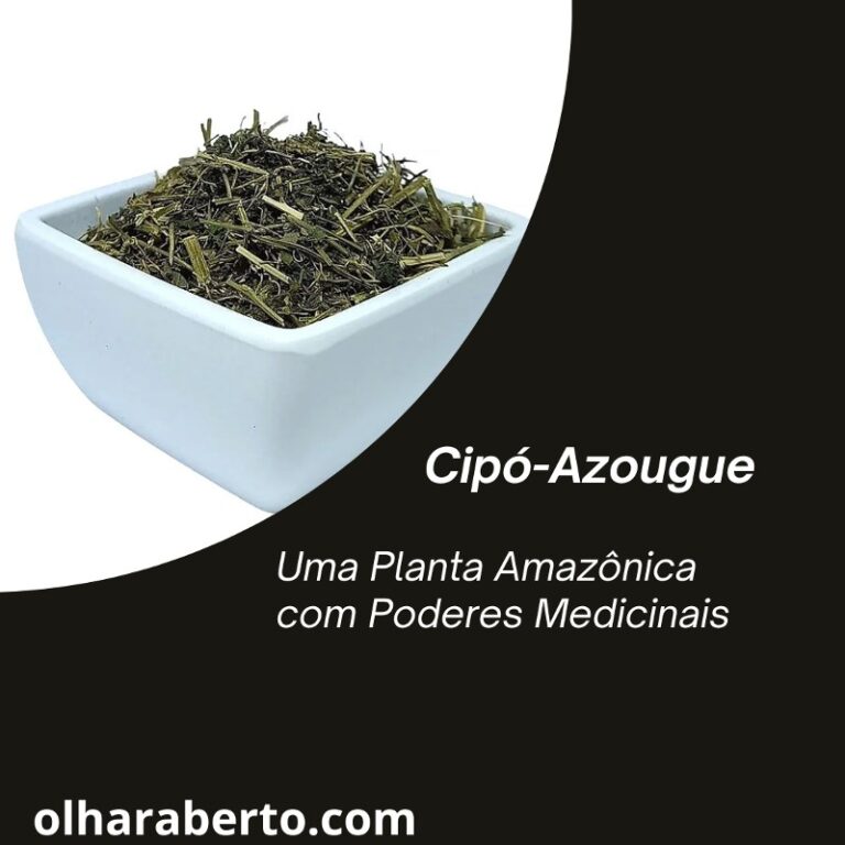 Read more about the article Cipó-Azougue: Uma Planta Amazônica com Poderes Medicinais