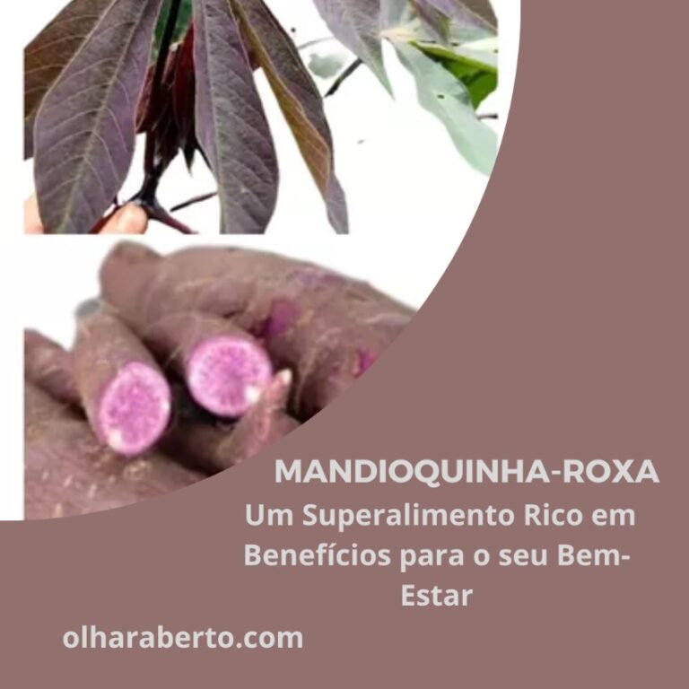 Read more about the article Mandioquinha-roxa: Um Superalimento Rico em Benefícios para o seu Bem-Estar