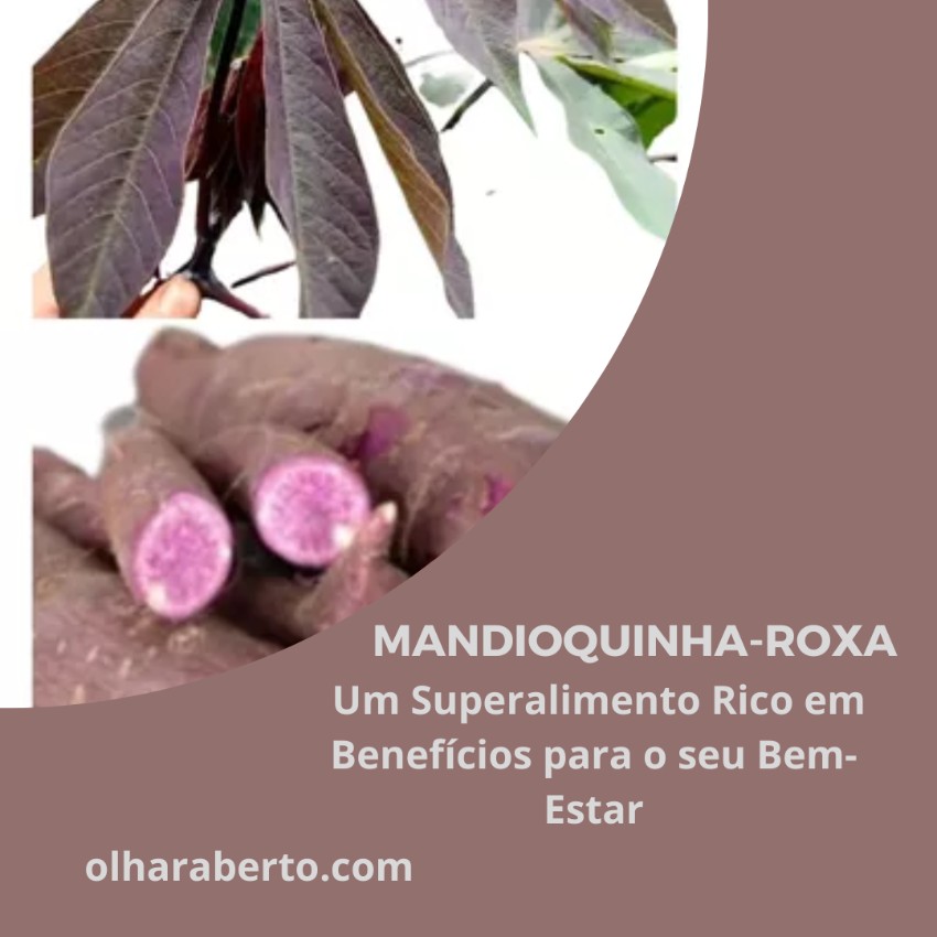 You are currently viewing Mandioquinha-roxa: Um Superalimento Rico em Benefícios para o seu Bem-Estar