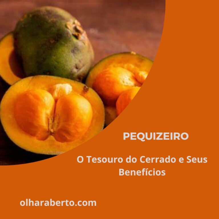 Read more about the article Pequizeiro: O Tesouro do Cerrado e Seus Benefícios