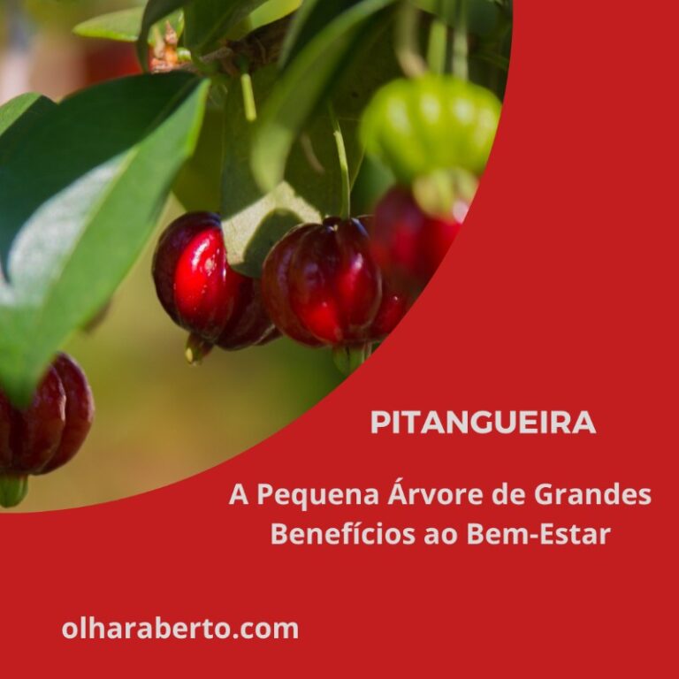 Read more about the article Pitangueira: A Pequena Árvore de Grandes Benefícios ao Bem-Estar