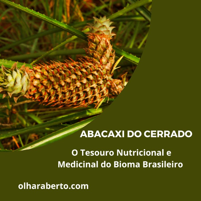 Read more about the article Abacaxi do Cerrado: O Tesouro Nutricional e Medicinal do Bioma Brasileiro