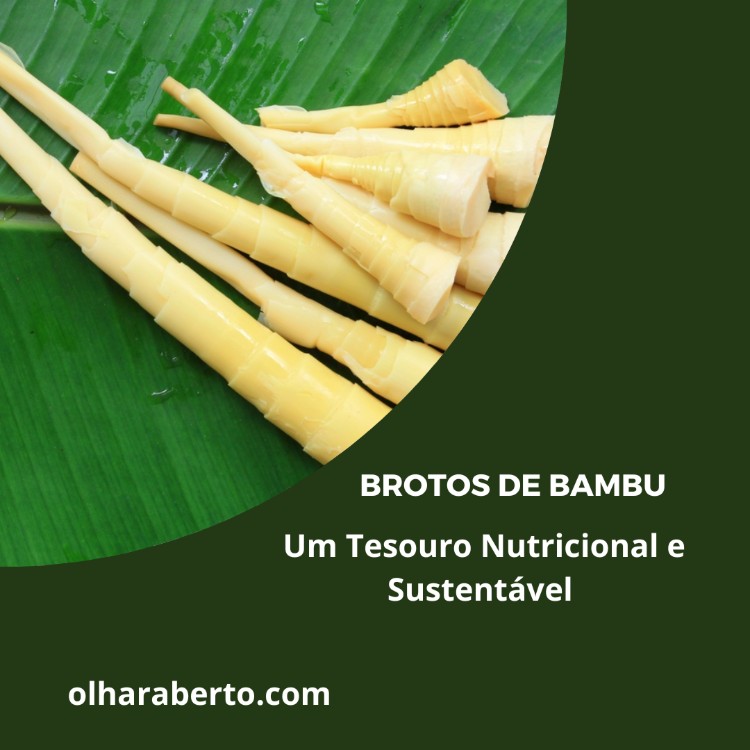 Read more about the article Brotos de Bambu: Um Tesouro Nutricional e Sustentável