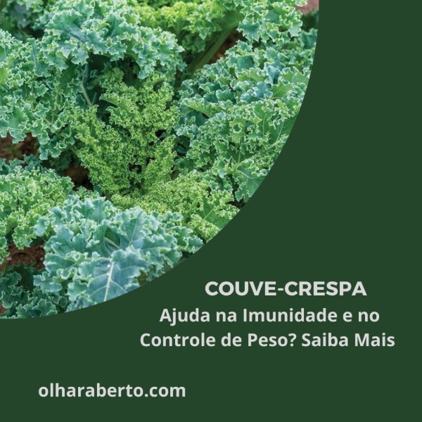 Read more about the article Couve-Crespa Ajuda na Imunidade e no Controle de Peso? Saiba Mais