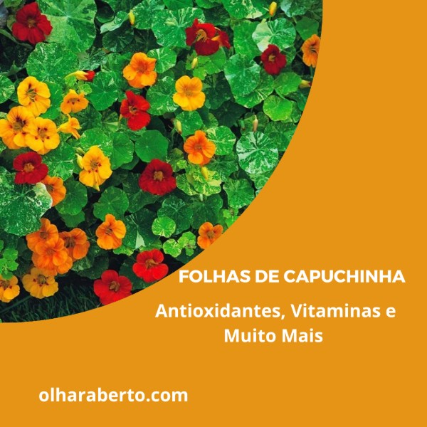 Read more about the article Folhas de Capuchinha: Antioxidantes, Vitaminas e Muito Mais