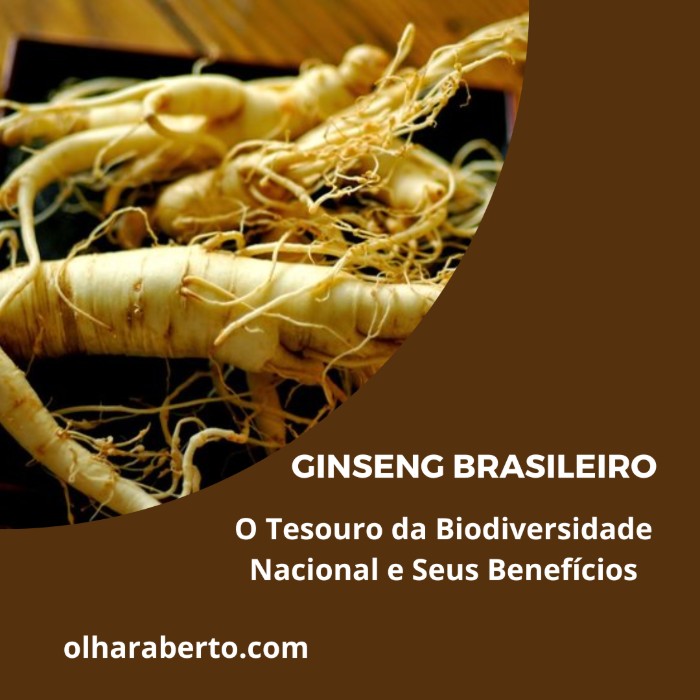 Read more about the article Ginseng Brasileiro: O Tesouro da Biodiversidade Nacional e Seus Benefícios