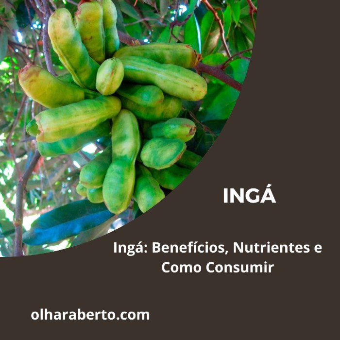 Read more about the article Ingá: Benefícios, Nutrientes e Como Consumir