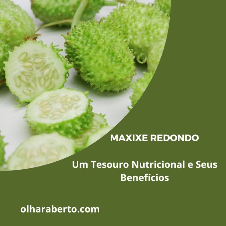 Read more about the article O Maxixe Redondo: Um Tesouro Nutricional e Seus Benefícios