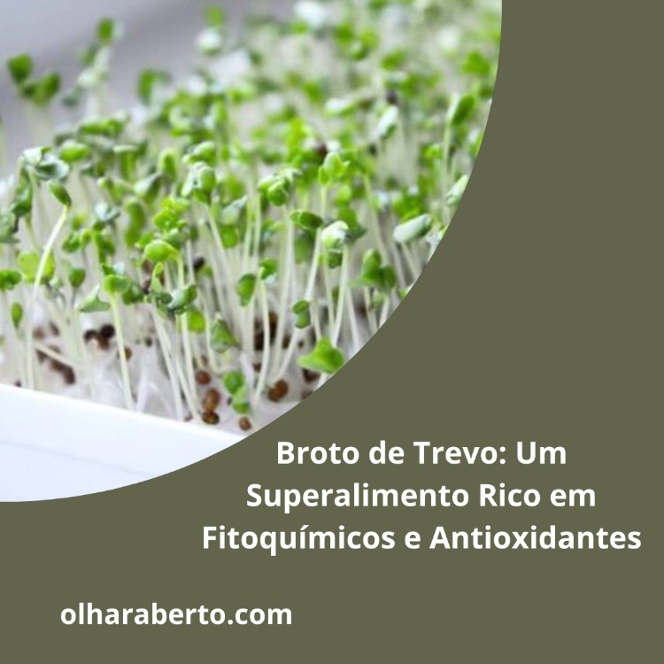 Read more about the article Broto de Trevo: Um Superalimento Rico em Fitoquímicos e Antioxidantes