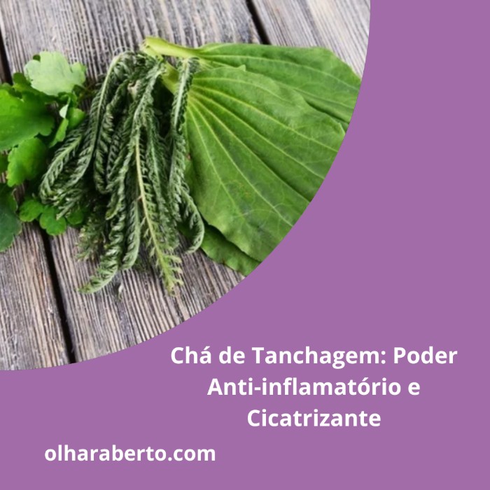 Read more about the article Chá de Tanchagem: Poder Anti-inflamatório e Cicatrizante