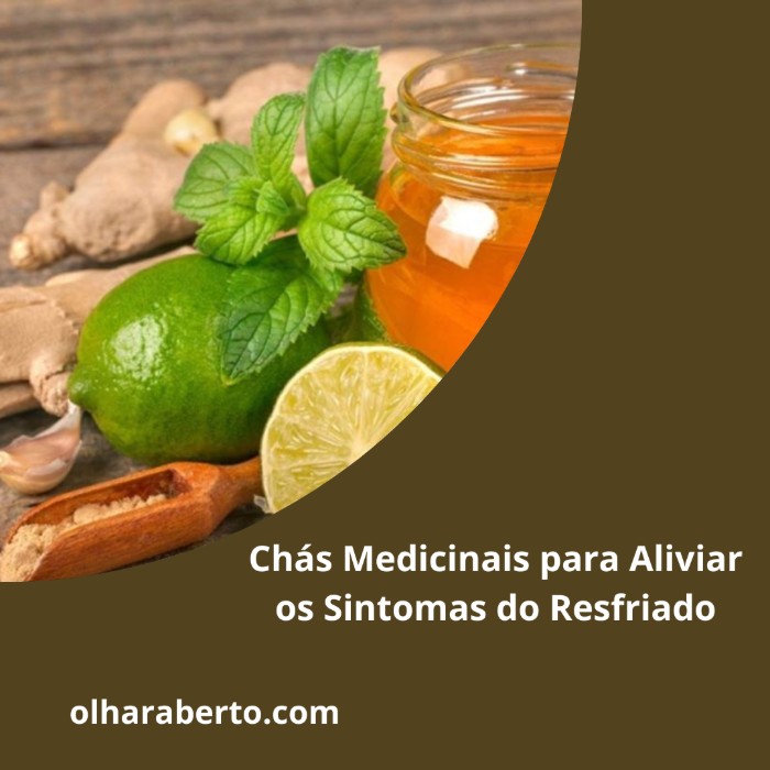 Read more about the article Chás Medicinais para Aliviar os Sintomas do Resfriado