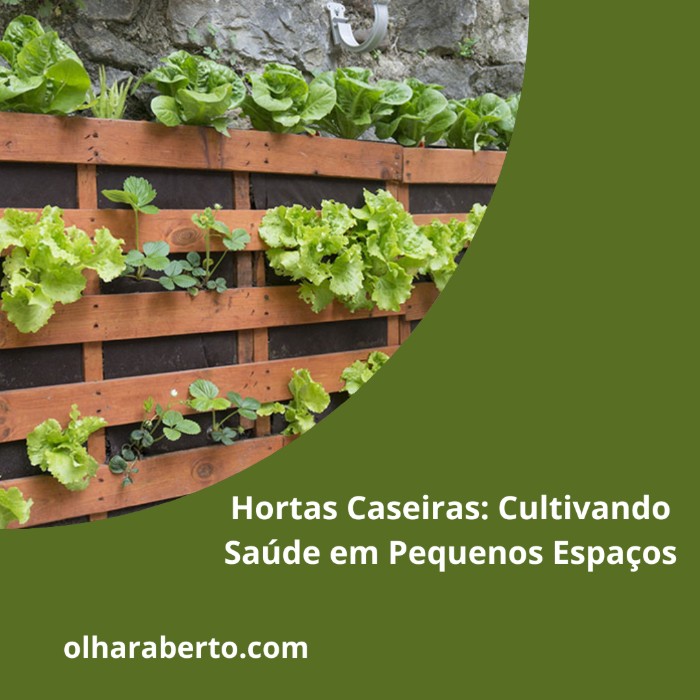 Read more about the article Hortas Caseiras: Cultivando Saúde em Pequenos Espaços