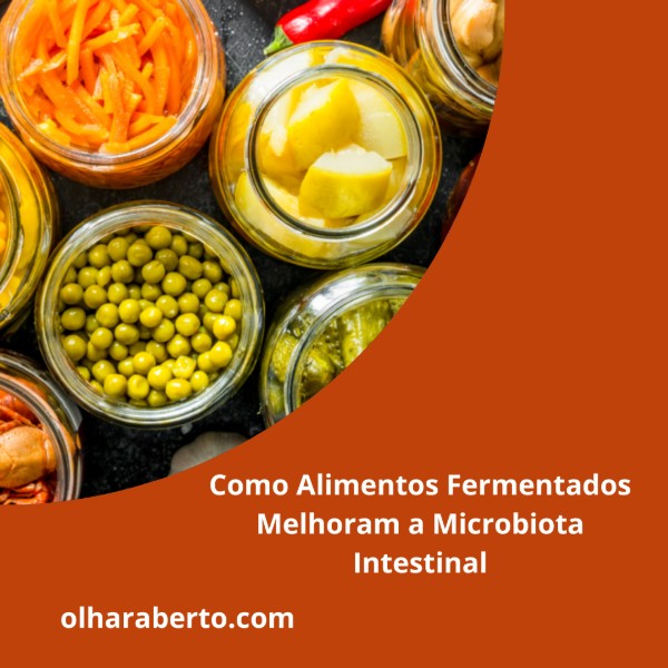 Read more about the article Como Alimentos Fermentados Melhoram a Microbiota Intestinal