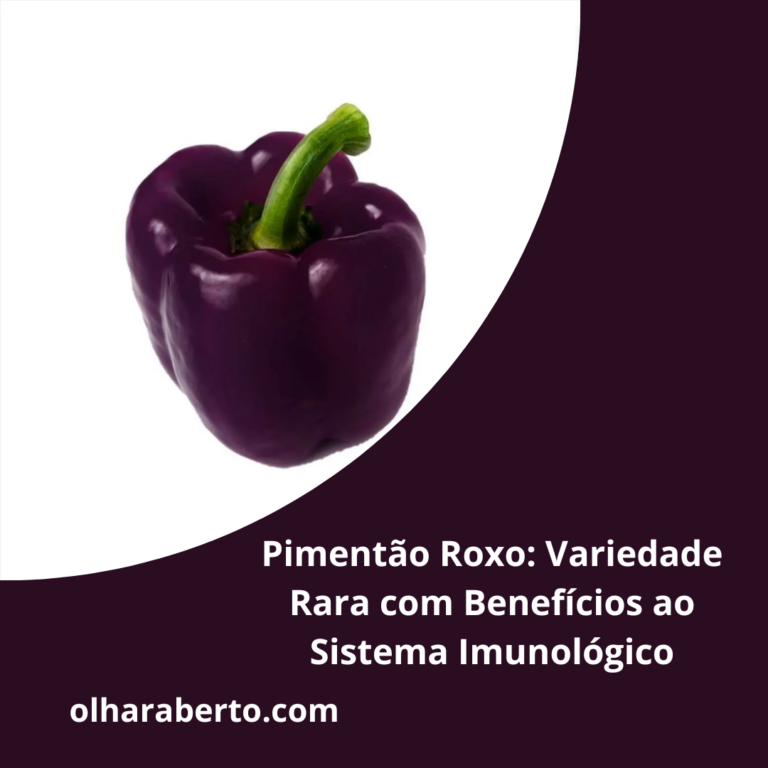 Read more about the article Pimentão Roxo: Variedade Rara com Benefícios ao Sistema Imunológico