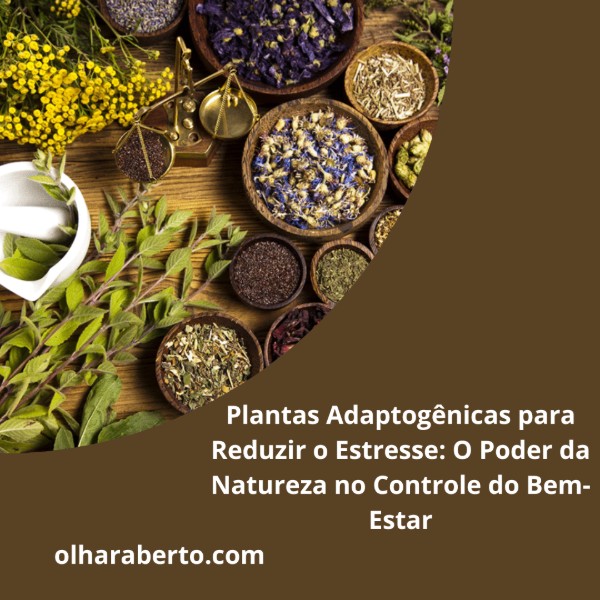 Read more about the article Plantas Adaptogênicas para Reduzir o Estresse: O Poder da Natureza no Controle do Bem-Estar