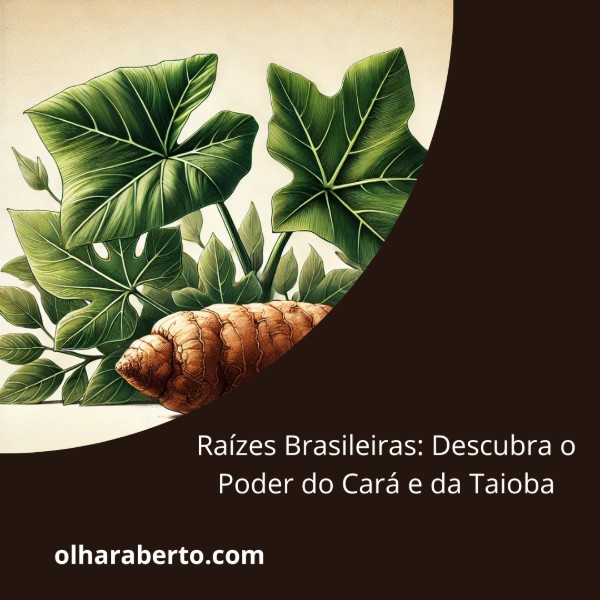 Read more about the article Raízes Brasileiras: Descubra o Poder do Cará e da Taioba