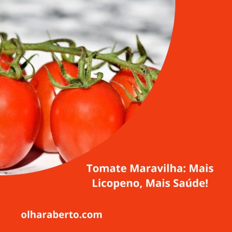 Read more about the article Tomate Maravilha: Mais Licopeno, Mais Saúde!