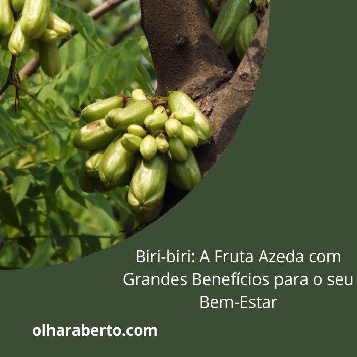 Read more about the article Biri-biri: A Fruta Azeda com Grandes Benefícios para o seu Bem-Estar