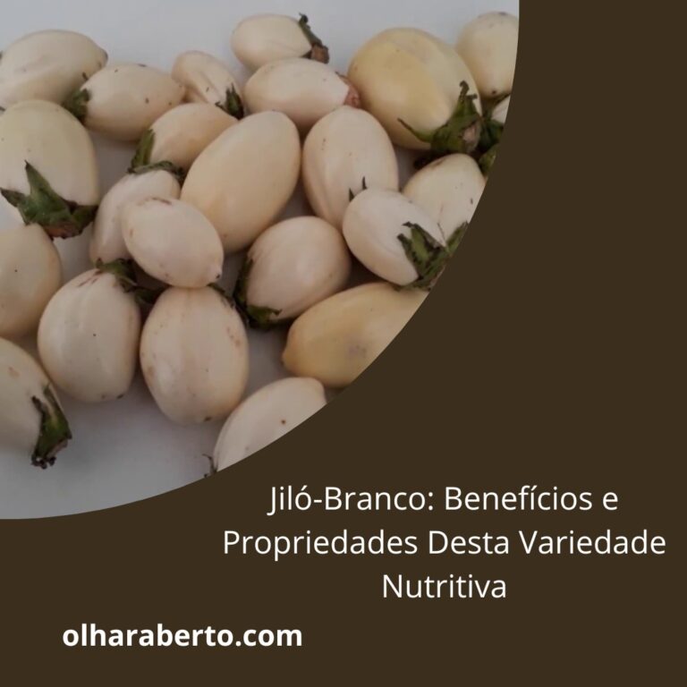 Read more about the article Jiló-Branco: Benefícios e Propriedades Desta Variedade Nutritiva