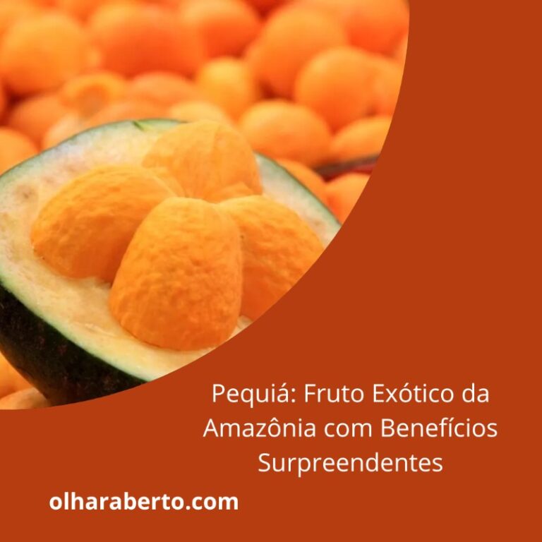 Read more about the article Pequiá: Fruto Exótico da Amazônia com Benefícios Surpreendentes