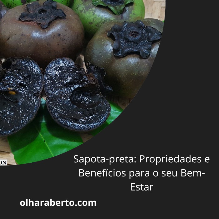 Read more about the article Sapota-preta: Propriedades e Benefícios para o seu Bem-Estar