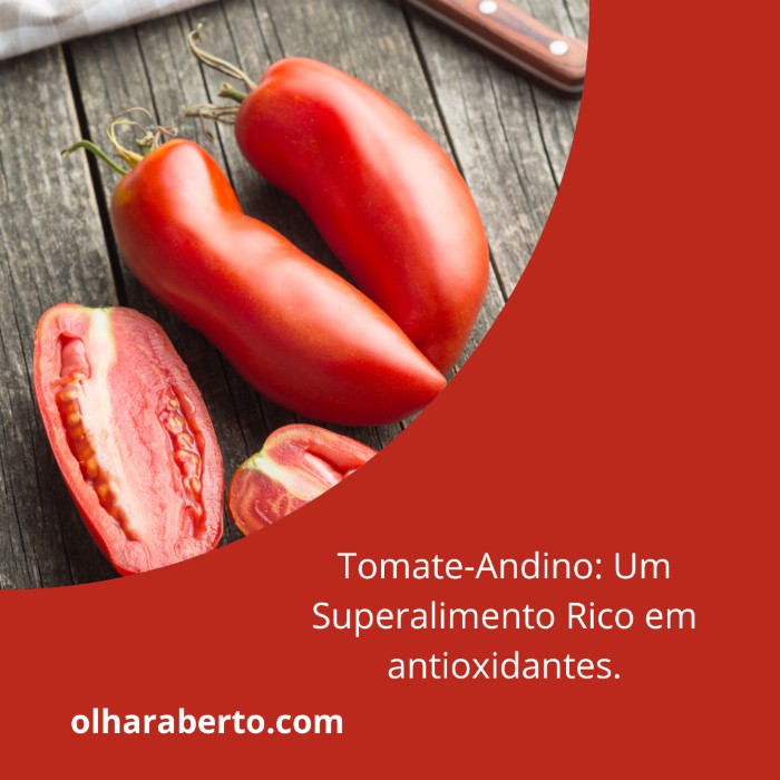 Read more about the article Tomate-Andino: Um Superalimento Rico em antioxidantes.