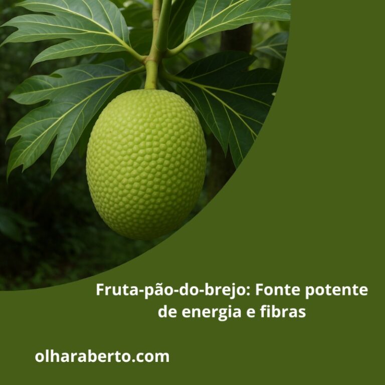Read more about the article Fruta-pão-do-brejo: Fonte potente de energia e fibras