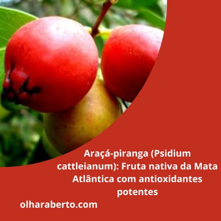 Read more about the article Araçá-piranga (Psidium cattleianum): Fruta nativa da Mata Atlântica com antioxidantes potentes