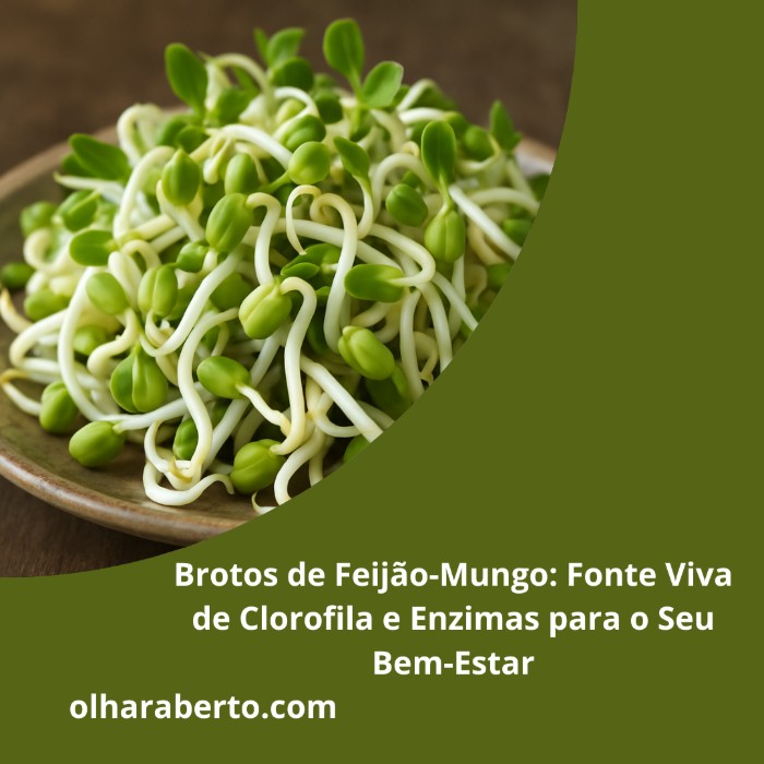 Read more about the article Brotos de Feijão-Mungo: Fonte Viva de Clorofila e Enzimas para o Seu Bem-Estar