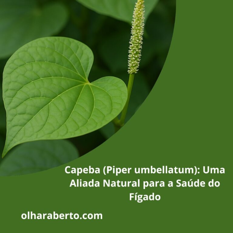 Read more about the article Capeba (Piper umbellatum): Uma Aliada Natural para a Saúde do Fígado
